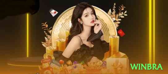 winbra Casino VIP v5.4.6 Screenshot 2